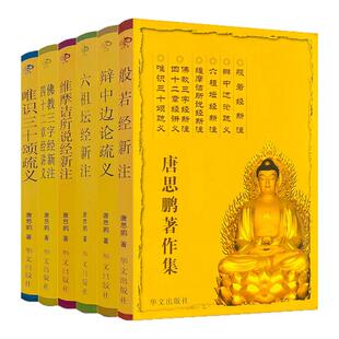 外观旧 唐思鹏著作集全六册 般若经新注 辩中边论疏义 六祖坛经新注 维摩诘经新注 佛教三字经新 注 四十二章经讲义 唯识三十颂疏