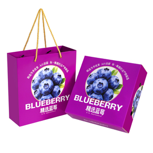高档蓝莓包装盒礼盒6盒125克装手提袋怡颗莓高端礼品盒水果空盒子