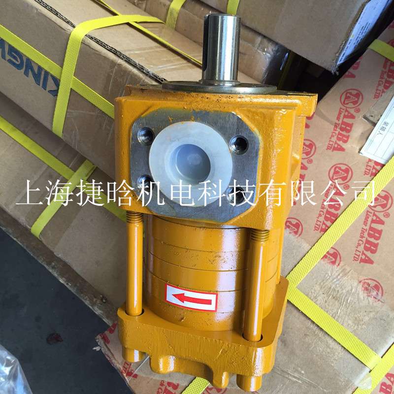 NBZ2-G10F 上海航发 SAEMP 直齿共轭转向内啮合齿轮泵 液压油泵