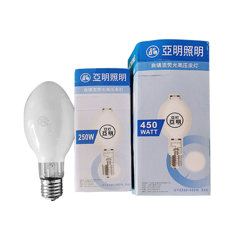 明华亚明自镇流荧光高压汞灯125W160W250W450W500W自贡灯GYZ/GGY