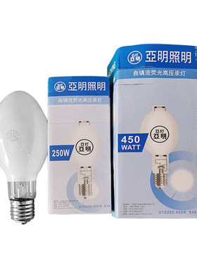 自镇流荧光高压汞灯250W450W