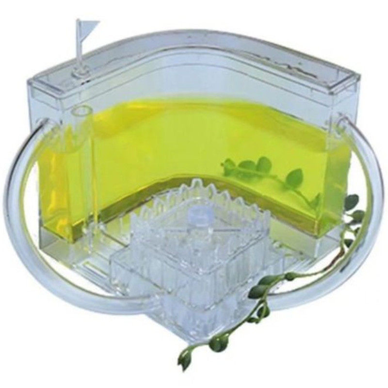 蚂蚁工坊蚁后繁殖蚂蚁城堡玩具