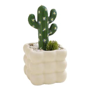 海贝海仙人掌盆栽多肉植物仙人球盆栽室内假花办公室桌面装饰摆件