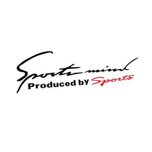 汽车灯眉贴纸创意个性车身贴划痕遮挡装饰拉花引擎盖改装文字车贴