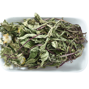 野生蒲公英切片500g克蒲公英正品特级干货蒲公英根新鲜中药材