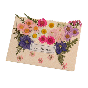 情书信封信纸高级感浪漫套装送女朋友生日表白贺卡手写信求婚礼物