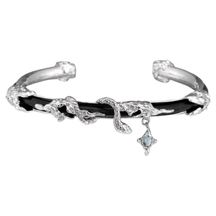 蛇年超帅单品 原创小众皮革手镯暗黑蛇星星高级冷淡皮绳男女手环