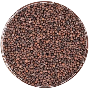 沙苑子官方旗舰店正品罐装中药材沙宛子茶菟丝子枸杞茶袋泡沙菀子