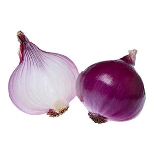 洋葱种子蔬菜春季种种植红皮圆葱种子家庭地栽全国栽培四季种籽