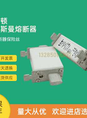 议价全新快速熔断器保险170M1584 170M1620 170M1621 170M1730