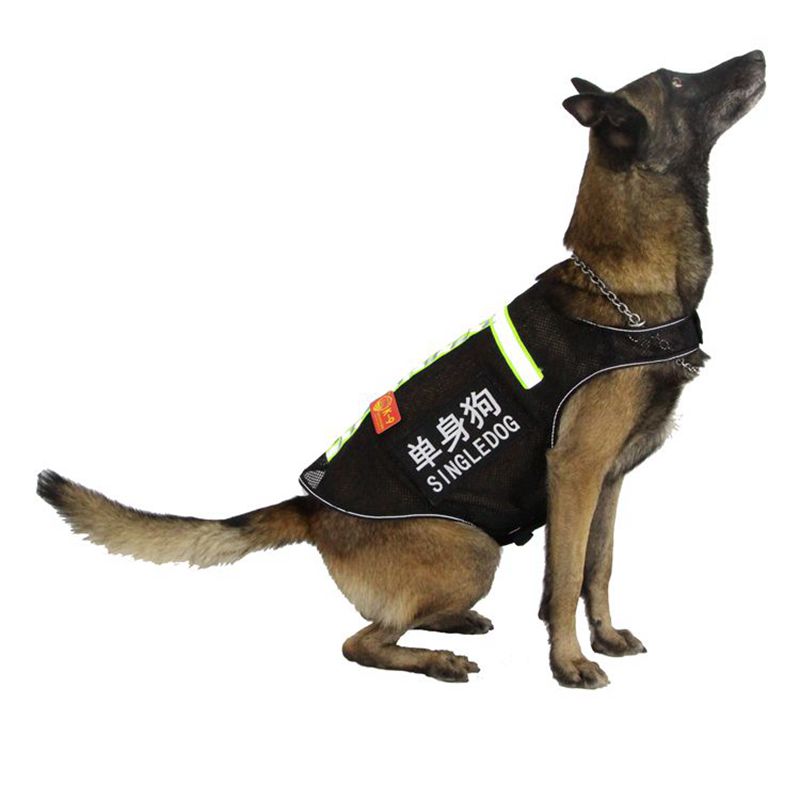 中大型工作犬背心衣服马犬马甲