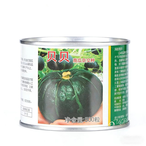 贝贝南瓜种子上海惠和一号日本进口品种迷你板栗香甜南瓜种籽种孑