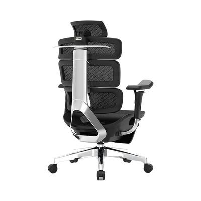 电脑椅Ergomax人体工学