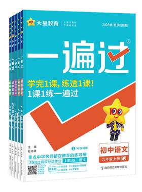 初中一遍过七八九年级同步练习册