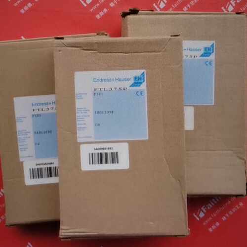 【请询价】EH FTL375P-F1E1 恩德斯豪斯全新液位检测 n