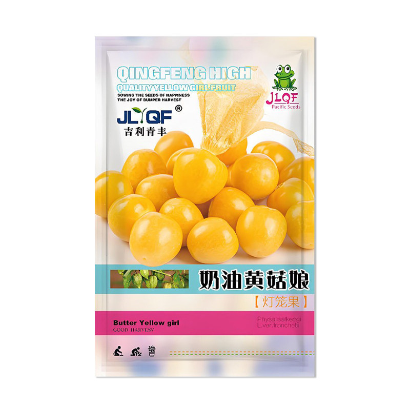 吉利青丰奶油黄菇娘果种子