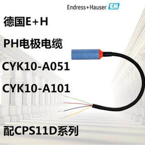 议价EH原装CPS11D电极电缆CYK10-A051电缆5米CYK10-A101电缆10米