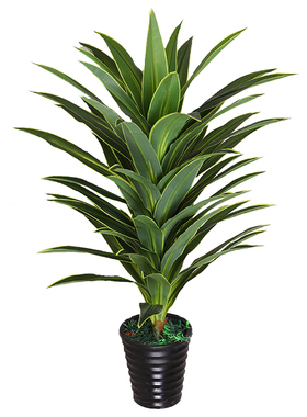 假花仿真植物铁树跳舞兰绿植盆栽