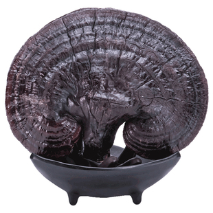 林岛 长白山 灵芝 椴木 紫 赤灵芝 林芝 灵子1KG 可免费打粉