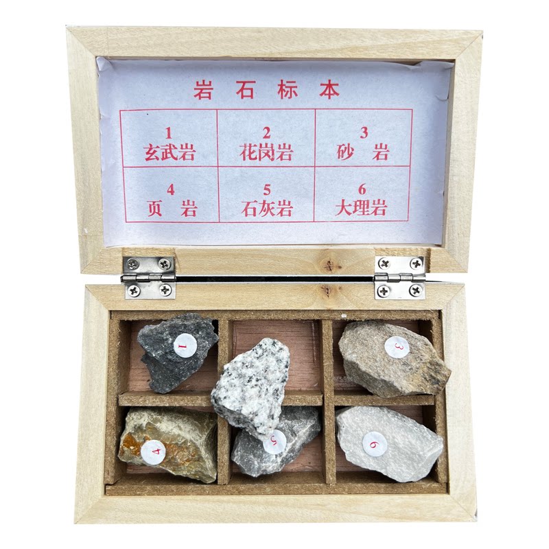 地质队三大类岩石头标本沉积变质火成岩6种四年级下册科学教学