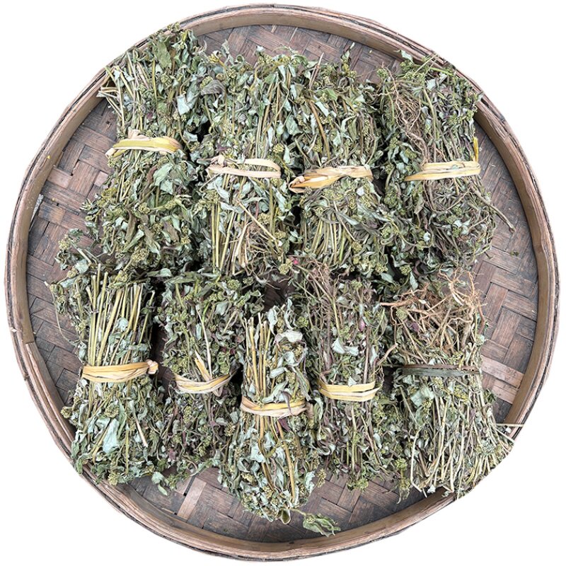 野生飞扬草大飞扬新货干品捆扎晒
