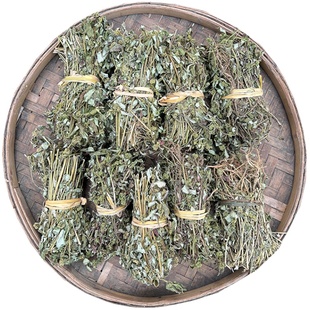 野生飞扬草 大飞扬草 新货干品500克 大乳汁草 节节花 捆晒中药材