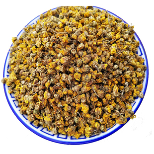 野菊花菊花茶秦岭野生菊花泡水清心明目小黄菊花野菊花茶散装250g