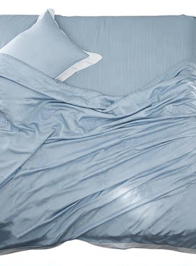 银桑100%桑蚕丝天丝银线夏凉被