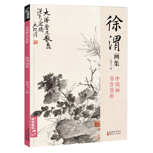 徐渭画集 8开中国画临摹画册书籍写意泼墨水墨国画杂花图花鸟技法教材程高清临本册页 初学者花卉名作赏析鉴赏杨经典全集 建飞主编