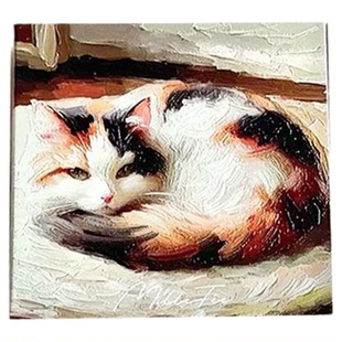 日本millefee眼影 夏季限定可爱猫咪猫爪浮雕四色眼影盘01 02 03