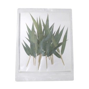 酒吧饮品调酒装饰枫叶竹叶干花叶子鸡尾酒装饰物酒杯签酒签植物标