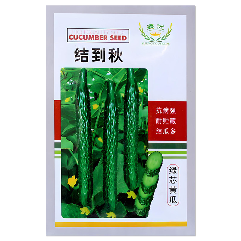 盛优结到秋绿芯黄瓜种子