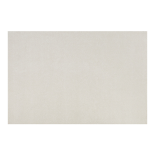 地毯客厅防水抗污极简素色2026新款免洗可擦满铺奶油风地毯全铺