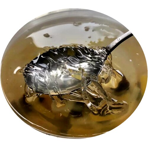 泉州石花膏石花草野生海石花四果汤石花菜海凉粉原料海鲜干货100g
