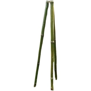 竹篱笆栅栏围栏户外伸缩竹片篱笆庭院菜园花园植物爬藤竹子花支架