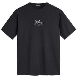 太平鸟男装T恤夏双面布凉感短袖潮男字母刺绣休闲百搭短袖上衣