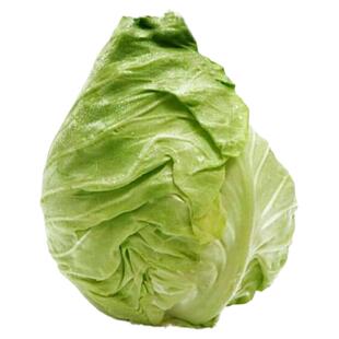 【顺丰包邮】5斤新鲜牛心菜包心菜卷心菜蔬菜绿甘蓝莲花白鸡心白