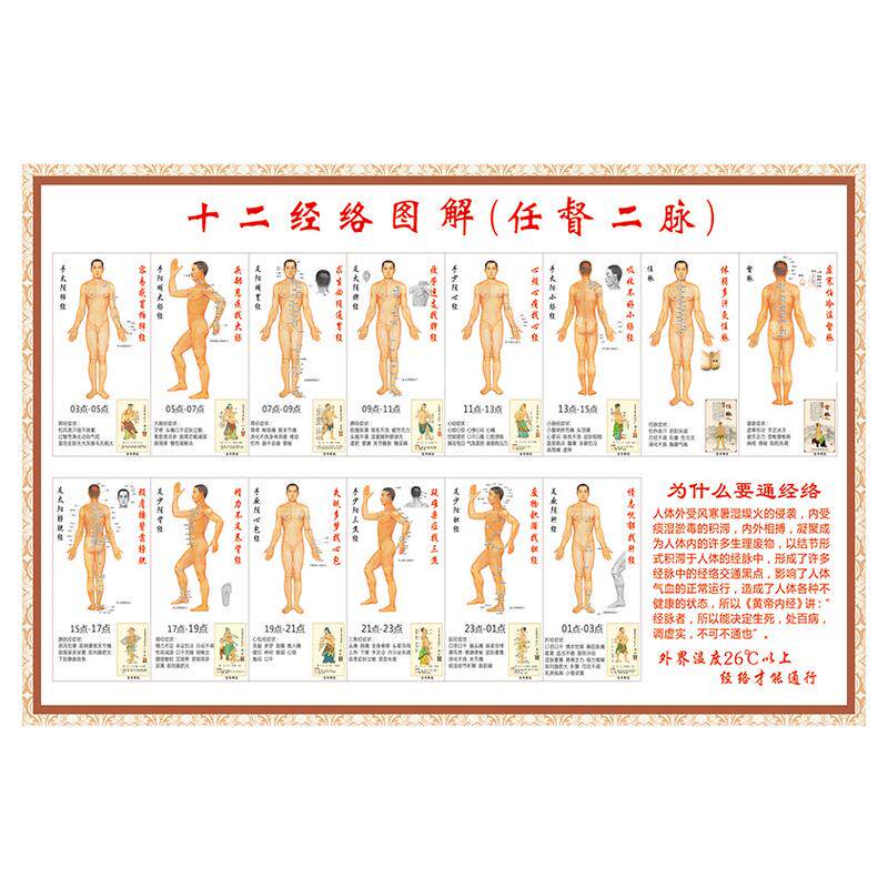 人体十二12经络穴位海报写真