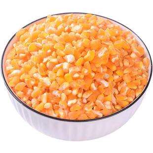 东北玉米碴子5斤装带豆粗粮新粮苞米碴子煮大碴粥杂粮玉米糁