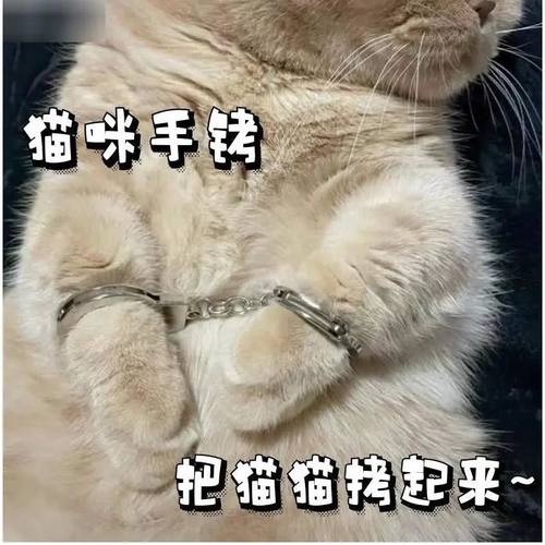 宠物猫咪小手铐恶搞小玩具迷你链子脚铐逗猫玩具仿可打开网红同款