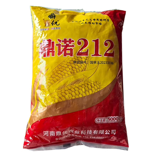 鼎诺212玉米种子国审抗倒伏稳产抗旱短筒型玉米种子原装正品大田