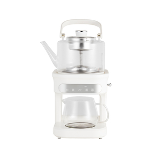 Glasslock蒸汽喷淋煮茶器家用茶饮机全自动多功能自动上水养生壶