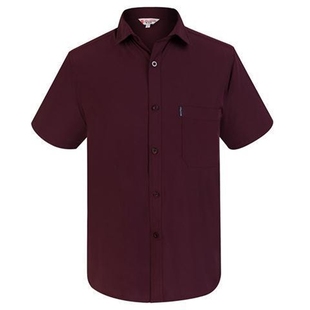 夏季中老年男士短袖衬衫爸爸夏装中年男宽松半袖薄款免烫冰丝衬衣