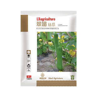 理想肉丝瓜种子高产早熟四季南北方阳台瓜果蔬菜籽大全原装