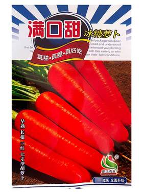满口秋季三红七寸韩国引进萝卜