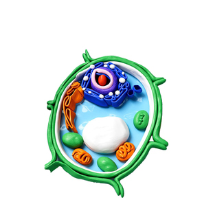 细胞模型制作材料包七年级上手工diy黏土生物动植物真细胞核成品