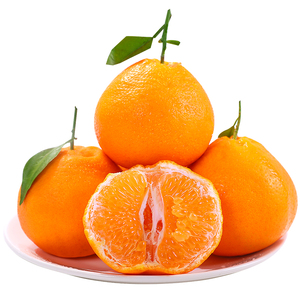 官方推荐丨耙耙柑复购率88%