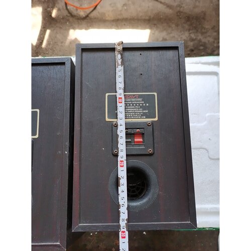 议价sav音箱ts2一对品相实图可以正常使用有需要联系我维修