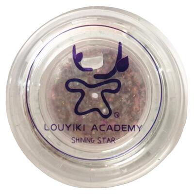 LOUYIKI碎钻粉指甲装饰爆闪出口