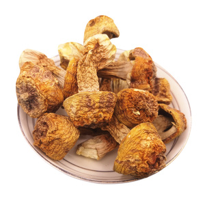 姬松茸食用蘑菇姬松茸